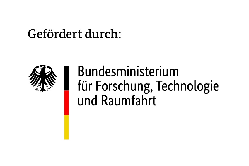 BMFTR_de_DTP_CMYK_gef_durch