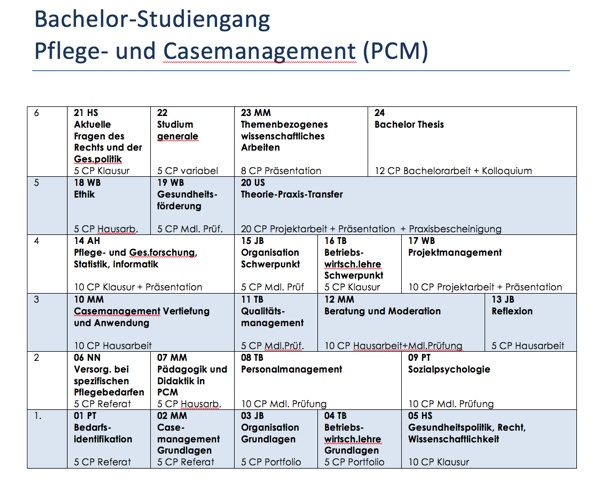 Nursing And Case Management B Sc Frankfurt Uas